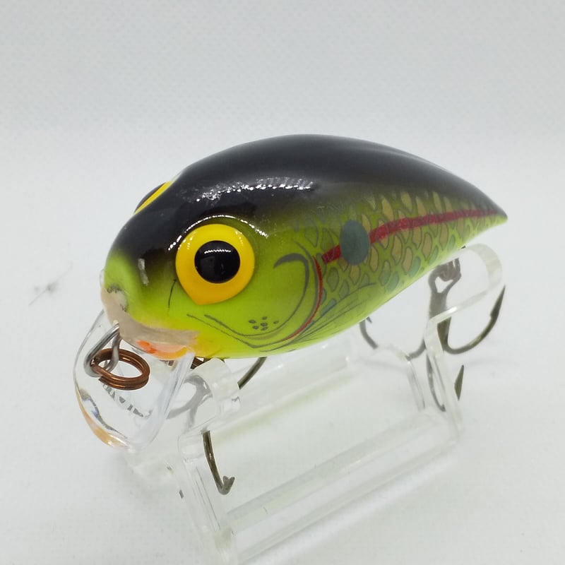 マグナムモンク_SAURUS❶ マグナムモンク_SAURUS❶ SAURUS | ザウルス