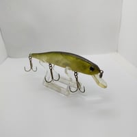 エバーグリーン　サイドステップ