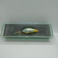 常吉 ツネキチ　コハマ 55MR