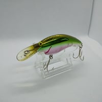 スミス/  ウィンドシャッティー１