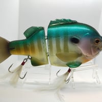 デプス/ ブルシューター190メンバーズリミテッド