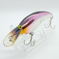 スミス/  ウィンドシャッティー１