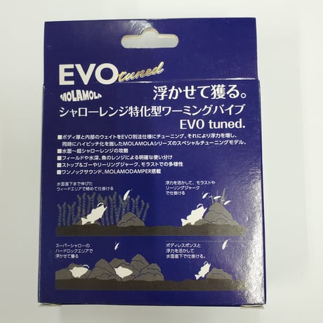 オーバスライブ　モラモラ EVOチューンドサイレント