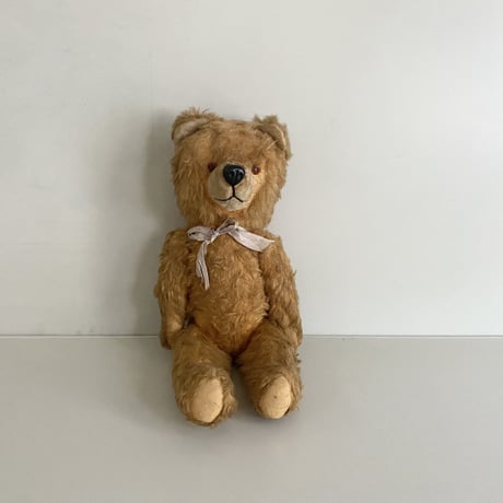 アンティークテディベア | STORES