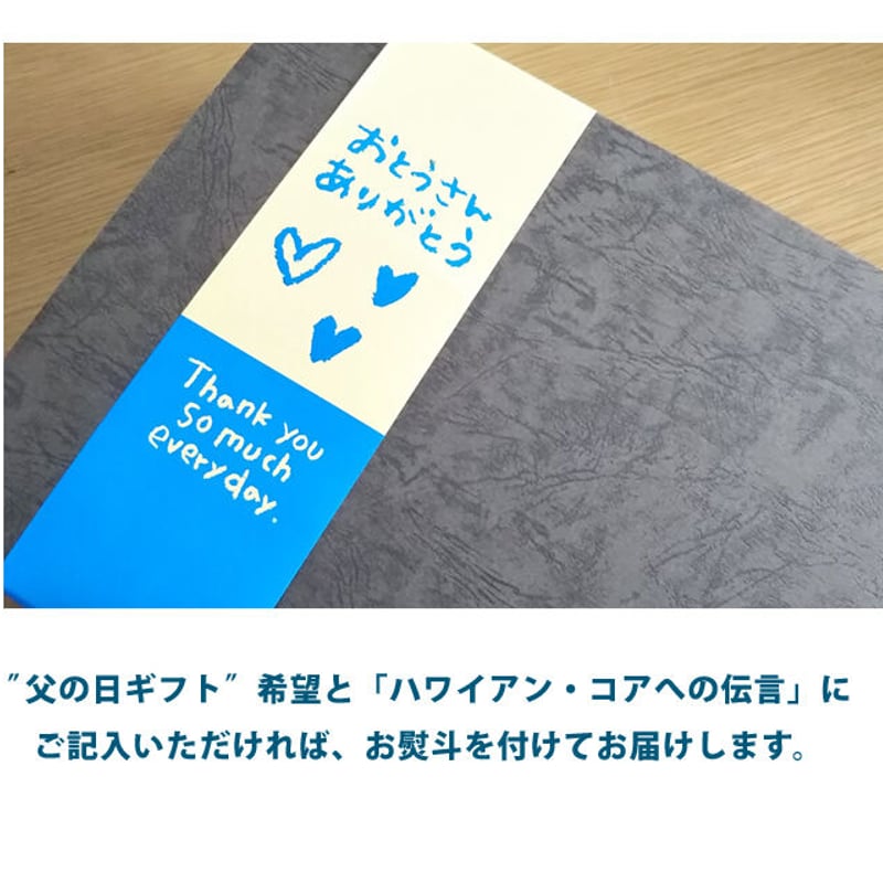 父の日 ギフト 御礼 コーヒー ギフトセット ドリップギフト ライオン