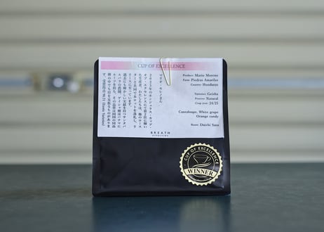 COE#2 Maria Moreno - Piedras Amarilas / Geisha / Natural (Honduras)