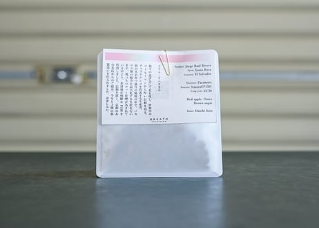 Jorge Raul Rivera - Santa Rosa / Pacamara / Natural P150 (El Salvador)