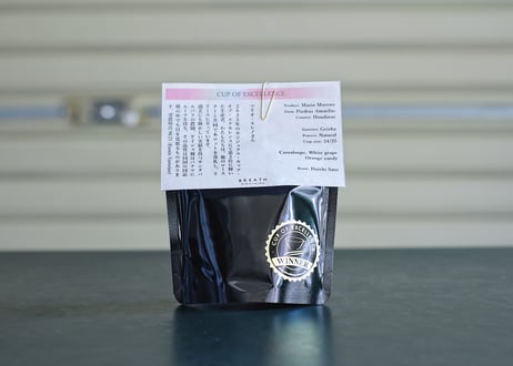 COE#2 Maria Moreno - Piedras Amarilas / Geisha / Natural (Honduras)