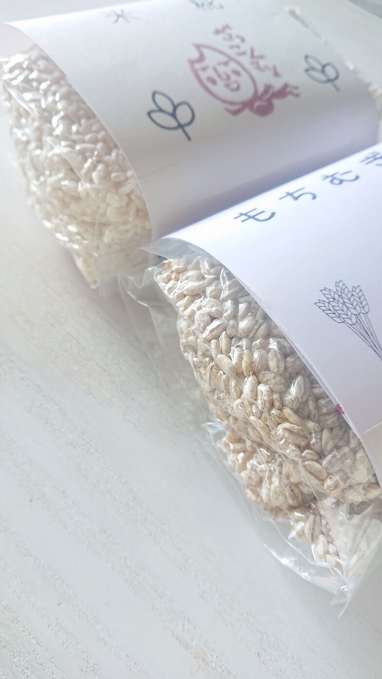 むぎもち様☆専用 楽天市場】もちむぎ食品センター もちむぎ 乾麺＆半生麺＆精麦