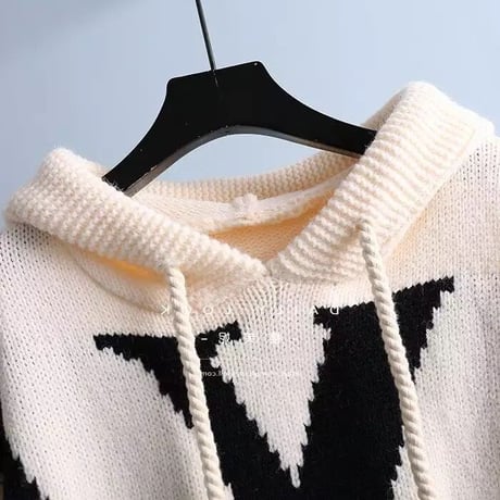 ビッグロゴ フーディニット 2色展開