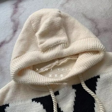 ビッグロゴ フーディニット 2色展開