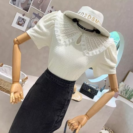 レースカラー ハーフスリーブトップス 3色展開