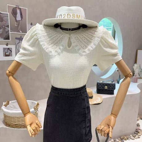 レースカラー ハーフスリーブトップス 3色展開
