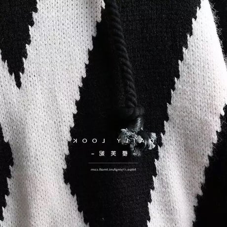 ビッグロゴ フーディニット 2色展開