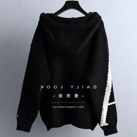 ビッグロゴ フーディニット 2色展開
