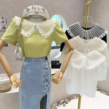 レースカラー ハーフスリーブトップス 3色展開