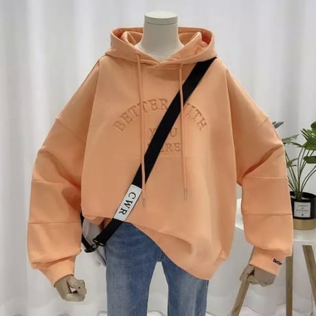 スリーブロゴ レタールーズパーカー 5色展開