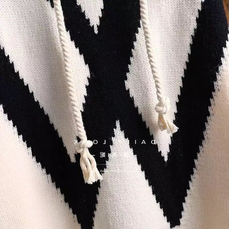 ビッグロゴ フーディニット 2色展開
