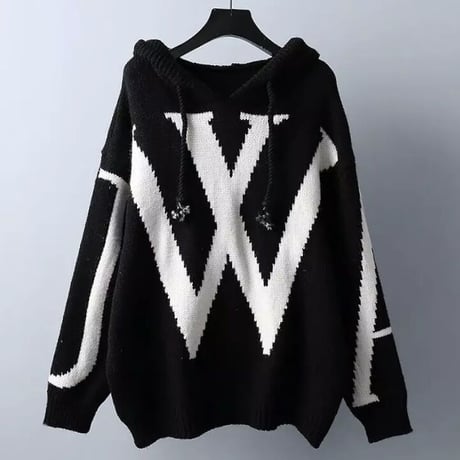 ビッグロゴ フーディニット 2色展開
