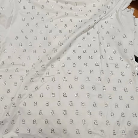 シルバーストーン オーバーTシャツ 2色展開