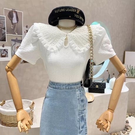 レースカラー ハーフスリーブトップス 3色展開