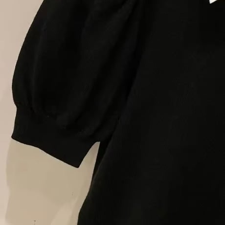 カラードッキングパフスリーブトップス