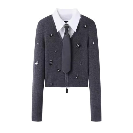 カレッジビジュートップス