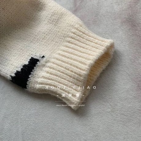 ビッグロゴ フーディニット 2色展開