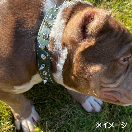 TOP DOG スパイク 首輪　【22サイズ】