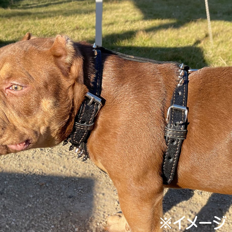 635789554ff8c245879e45f0