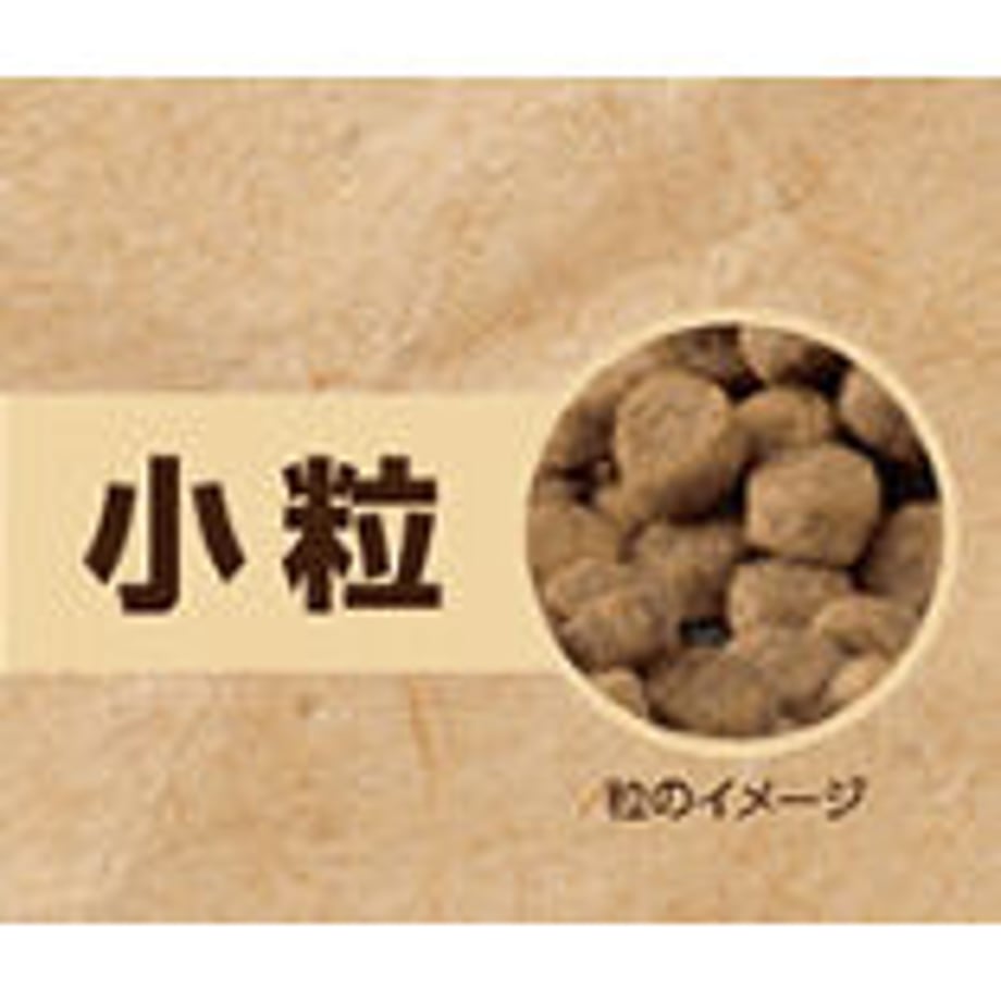 605d370ad5e9c94929d42bf9