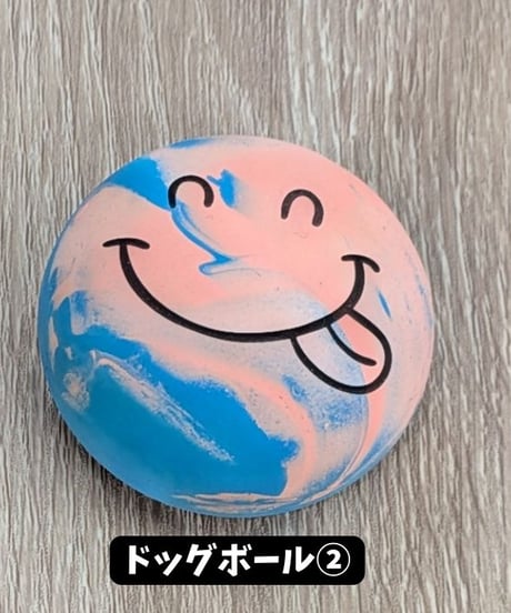 わんちゃんおもちゃ　ドッグボール