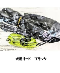 犬用リード　Ｍサイズ