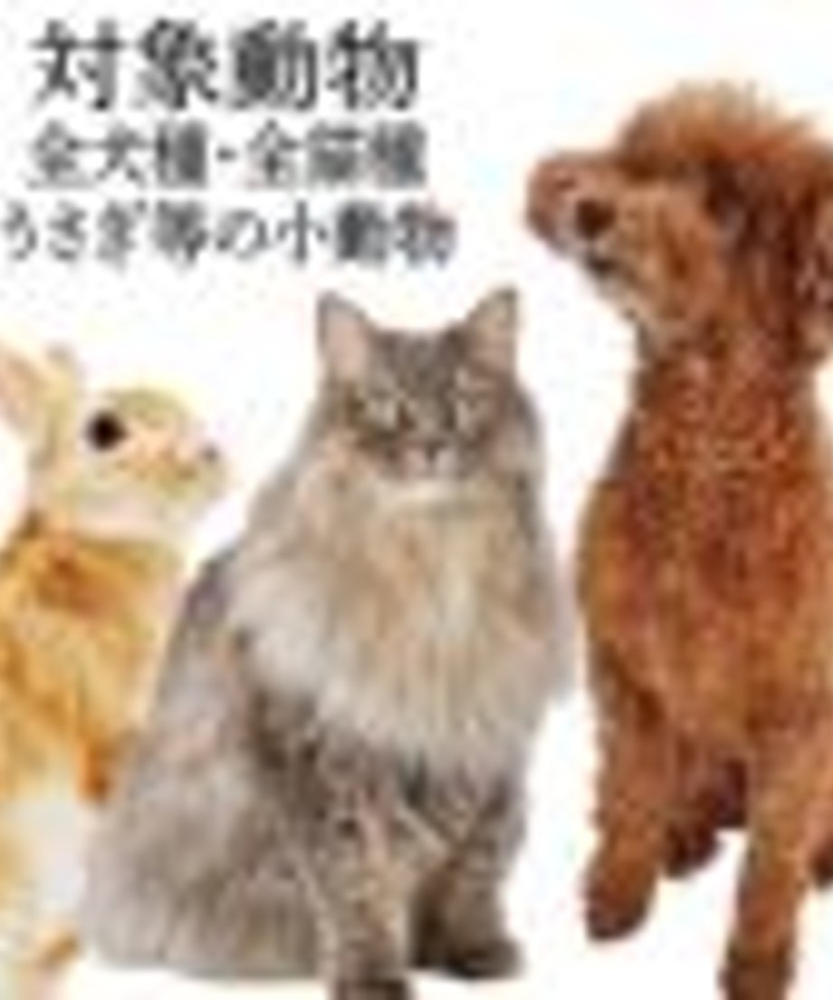 693f639029bb806a6b7655d8