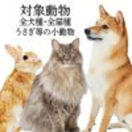 Add.Mate アドメイト ペット用ブラシ 持ち手がロングで持ちやすい プロフェッショナルスリッカーブラシL