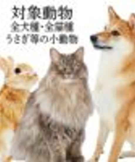 Add.Mate アドメイト ペット用ブラシ 持ち手がロングで持ちやすい プロフェッショナルスリッカーブラシL