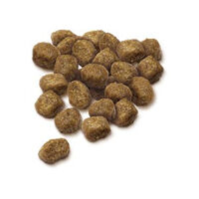 セレクトバランス パピーチキン〈小粒〉子犬・母犬用 1kg