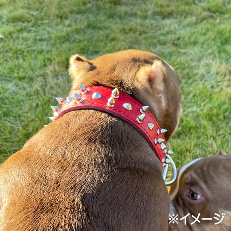 TOP DOG スパイク 首輪2　【20サイズ】