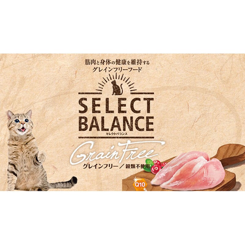 セレクトバランス グレインフリー 猫アダルト チキン1．6kg
