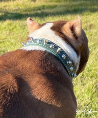 TOP DOG スパイク 首輪　【18サイズ】