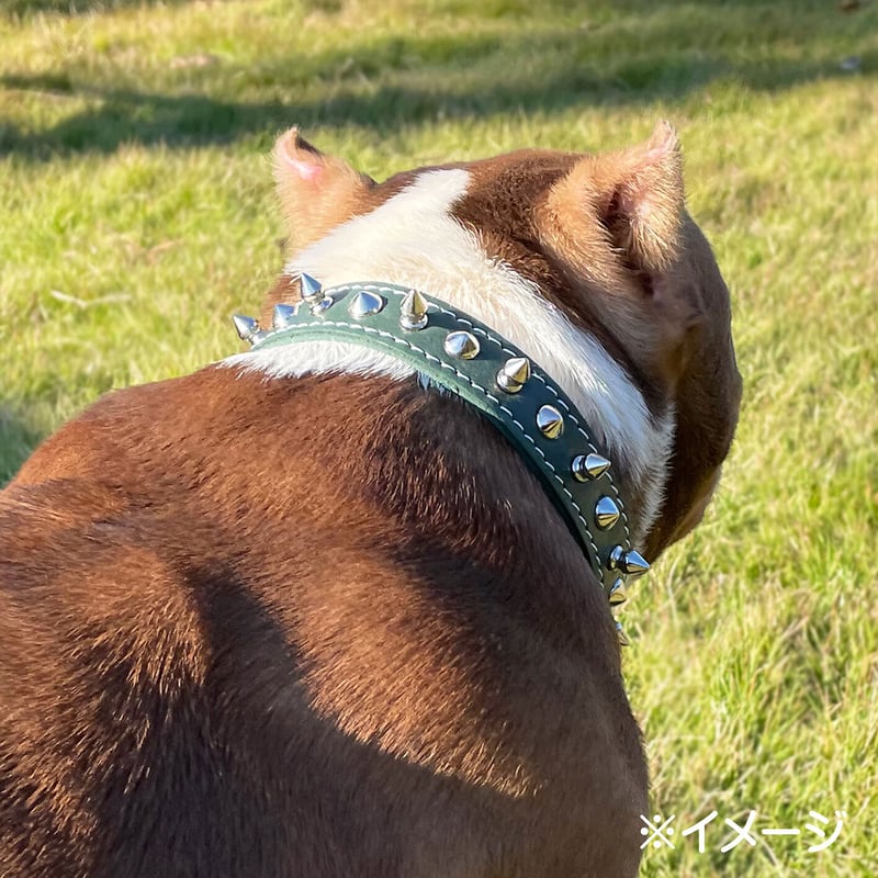 TOP DOG スパイク 首輪 【16サイズ】 | ペットグッズモールOneDo