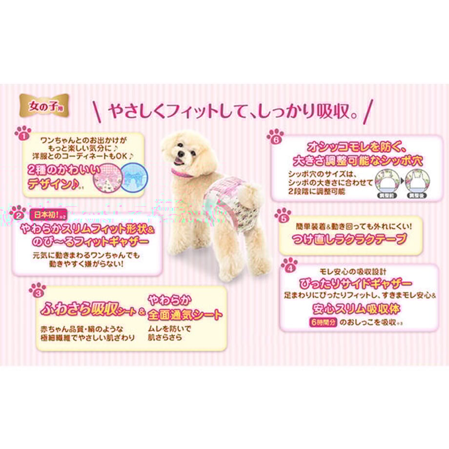 6036050baaf0433206f52527