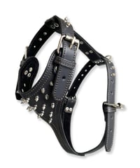 TOP DOG スパイク ハーネス ブラック　M