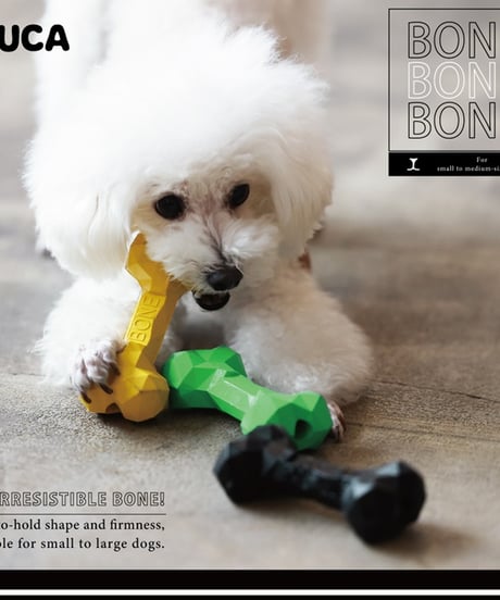 ウェルカム カムカム【BONE BONE BONE】
