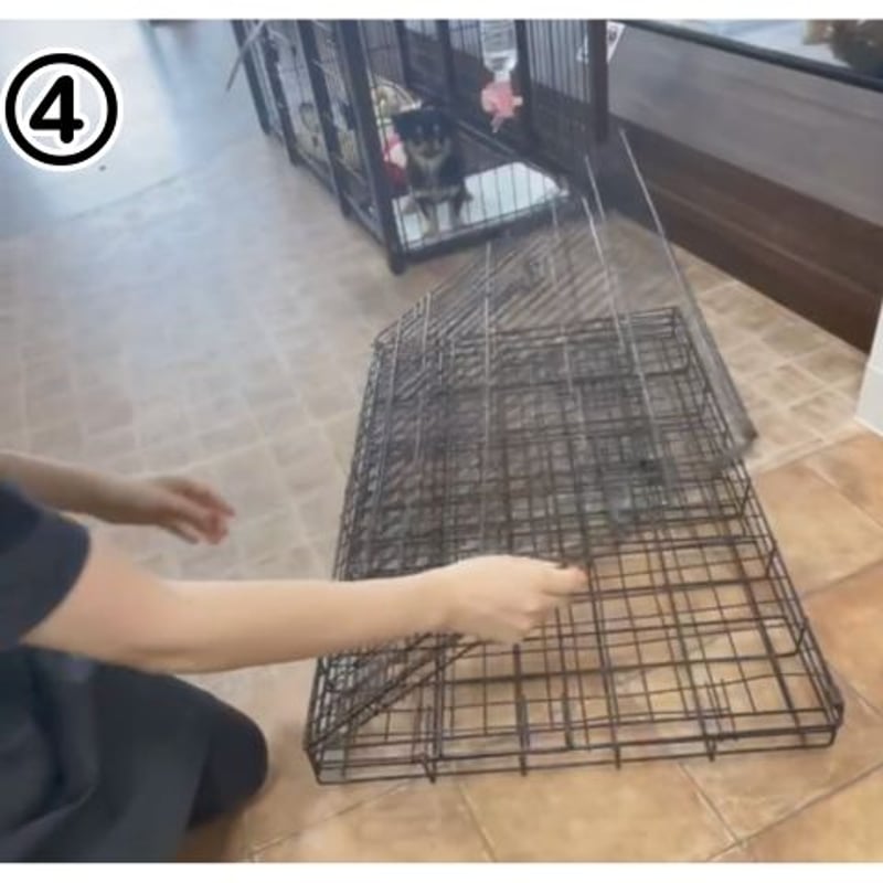 折りたたみ式ドッグゲージ ダブルドア-XL | ペットグッズモールOneDo