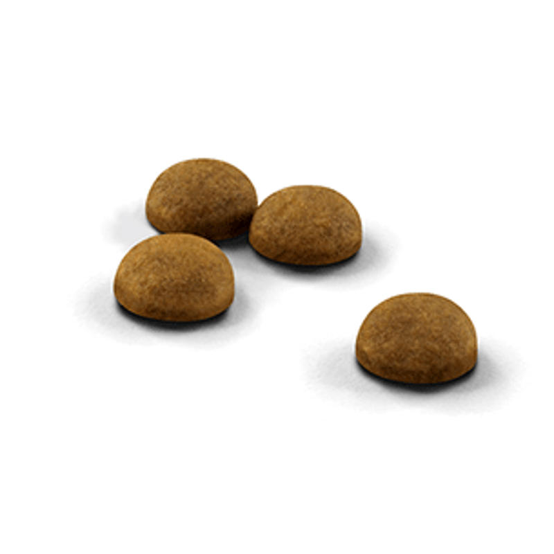 ロイヤルカナン 室内で生活する成猫用　インドア　4kg 4個　16kg ロイヤルカナン 室内で生活する成猫用 インドア 4kg 4個 16kg 【公式通販】