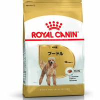 ロイヤルカナン　プードル成犬用　3kg