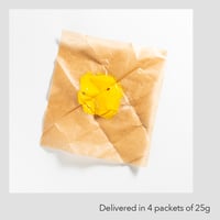 コロタイプインク <黄> 100g　Collotype Ink <YELLOW> 100g