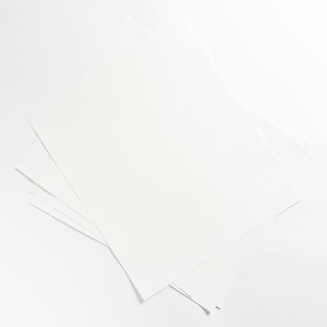 和紙 <鳥の子 白>　Washi Paper <TORINOKO White>