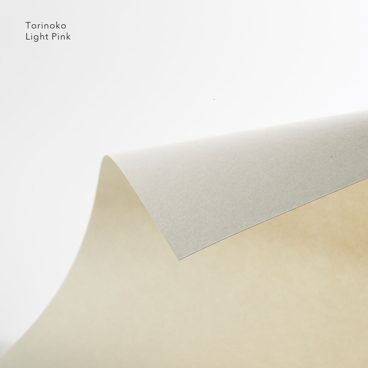 和紙 <鳥の子色違い3種セット> Washi Paper <TORINOKO in three